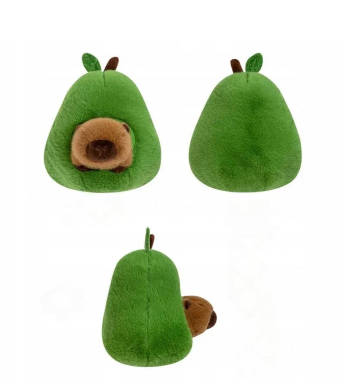 Kapibara w awokado